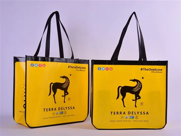 غیر بنے ہوئے پرنٹ شدہ باکس بیگ