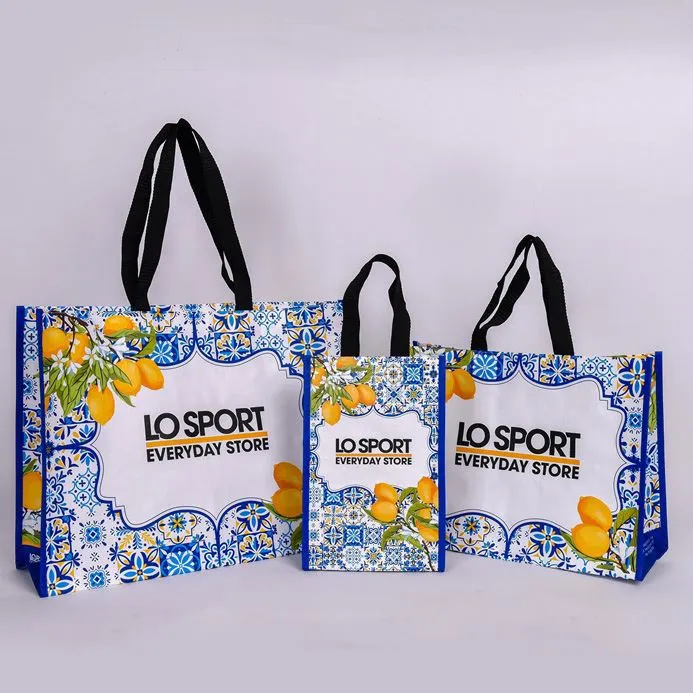 پی پی بنے ہوئے پیکیجنگ بیگ